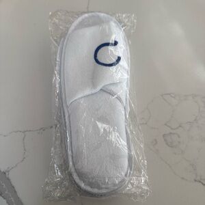 White Slippers with Blue Lettering